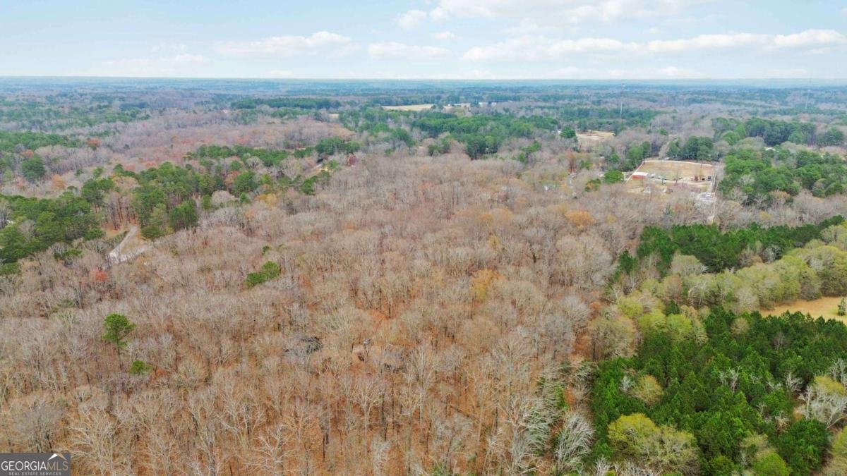 1060 Bethel Road Conyers - Photo 43