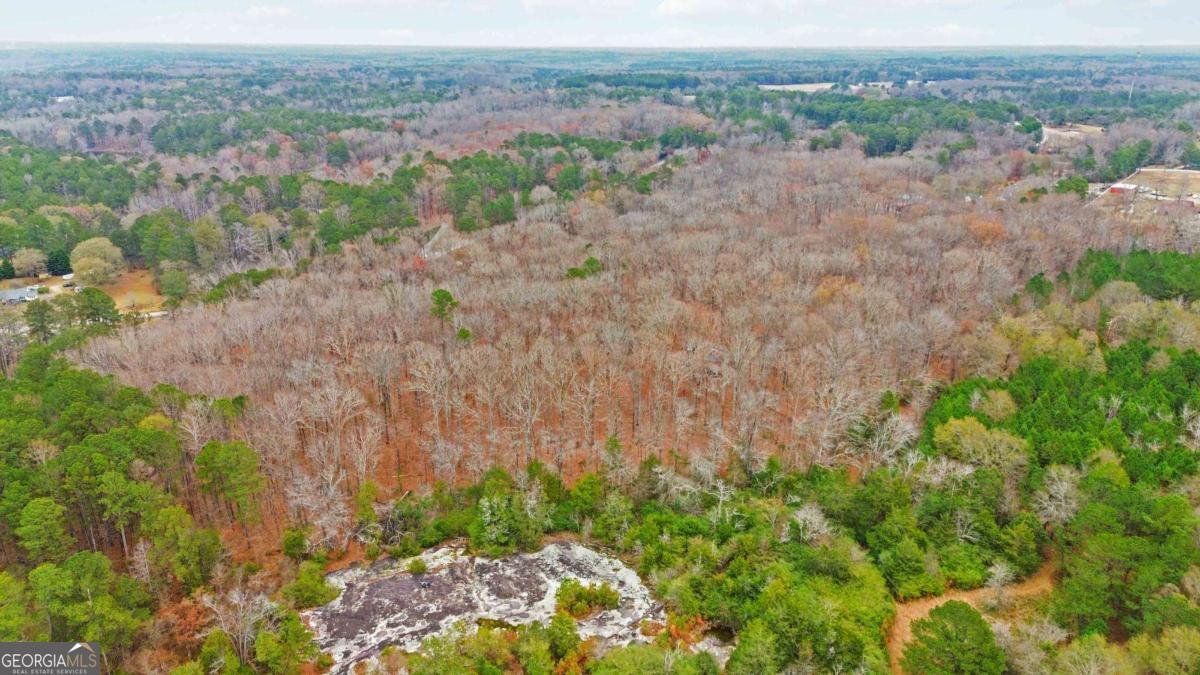 1060 Bethel Road Conyers - Photo 44