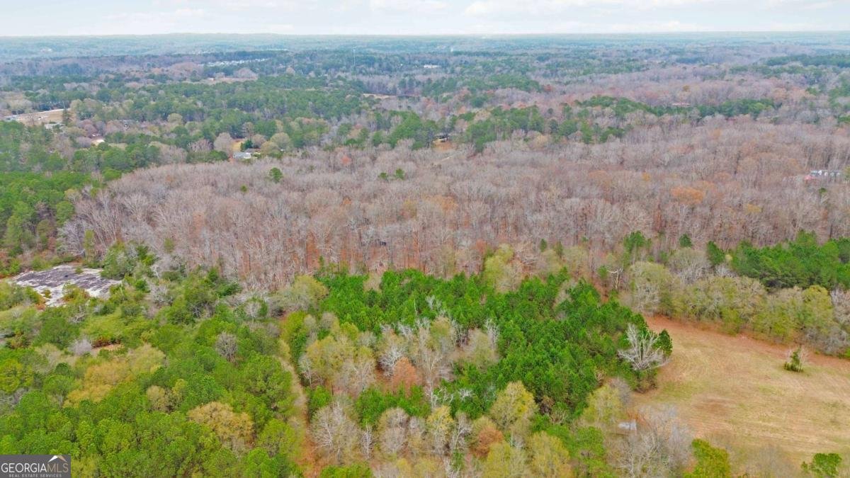 1060 Bethel Road Conyers - Photo 45