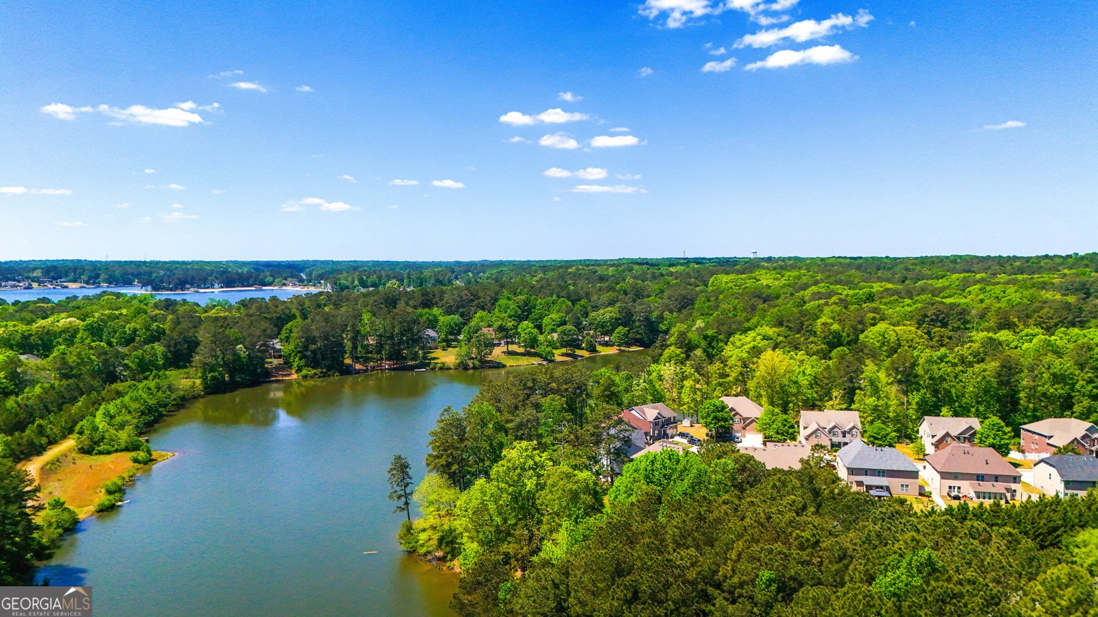 608 Brookwater Drive Stockbridge - Photo 109