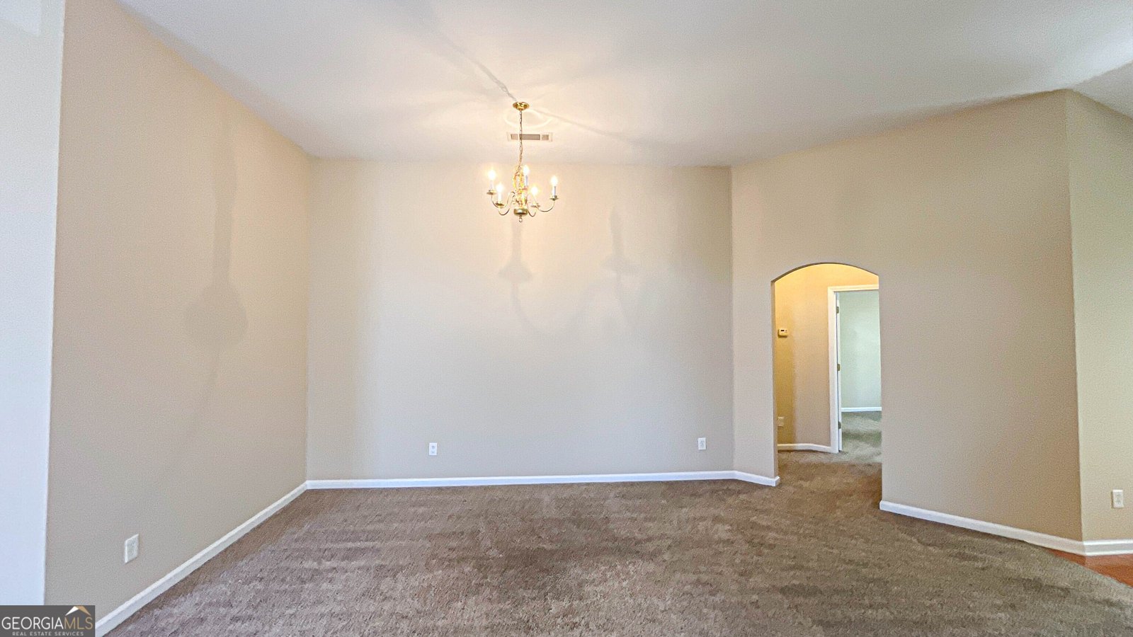 608 Brookwater Drive Stockbridge - Photo 53