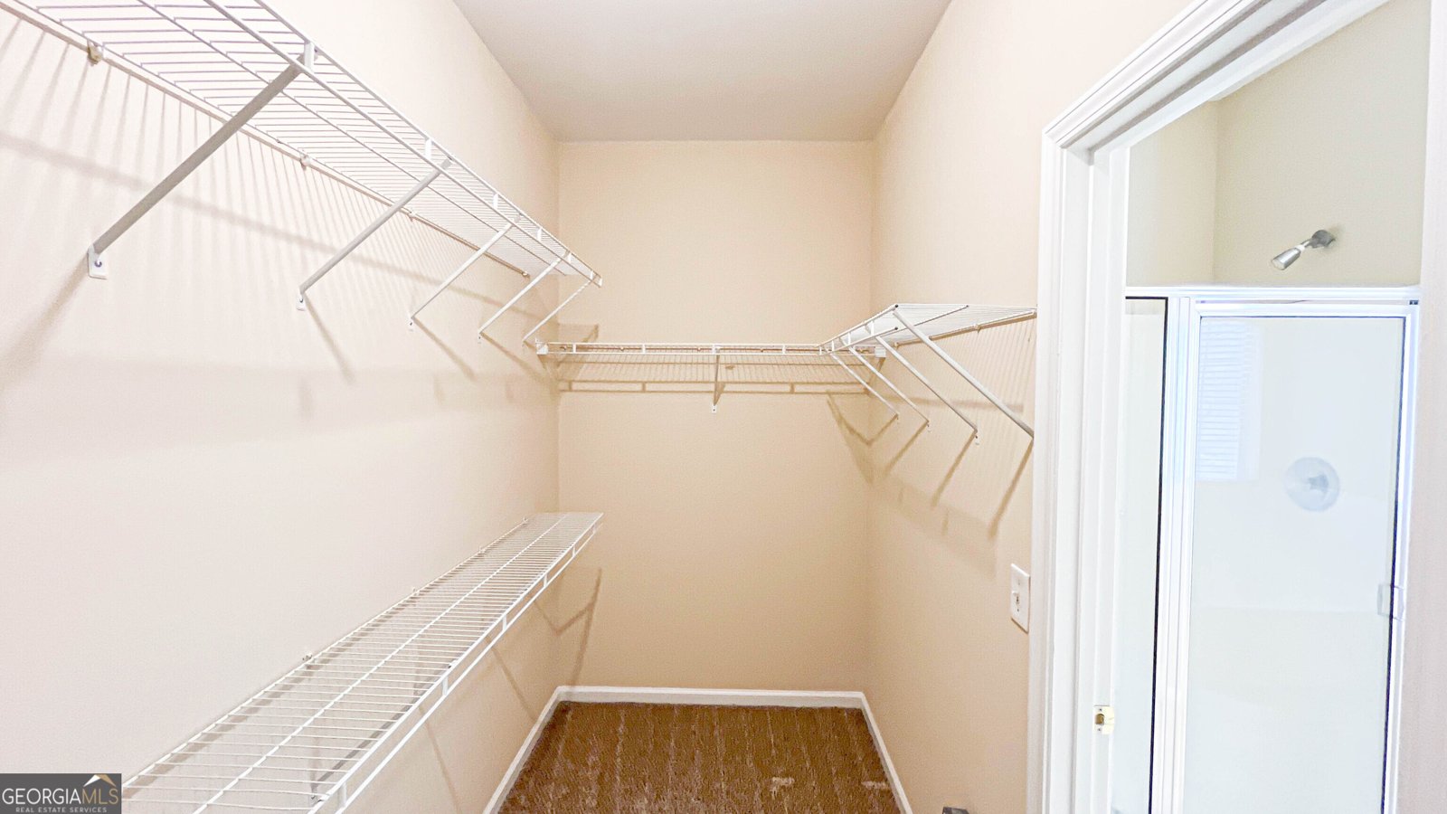 608 Brookwater Drive Stockbridge - Photo 79