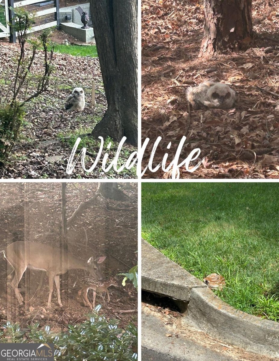 4719 Brownstone Drive Peachtree Corners - Photo 41