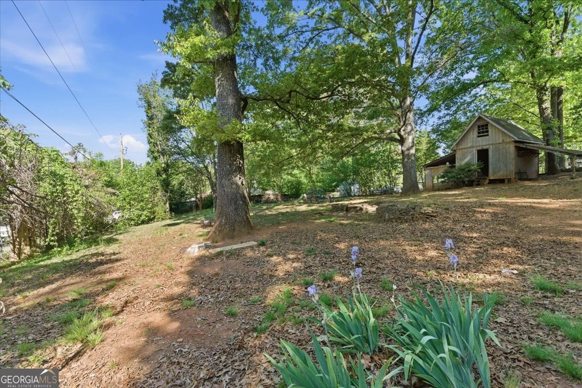 1440 Cochran Ridge Road Hiram - Photo 43