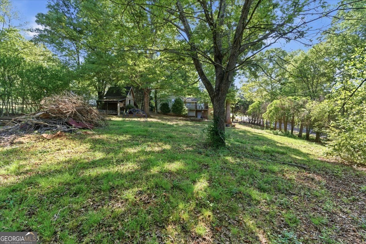 1440 Cochran Ridge Road Hiram - Photo 48