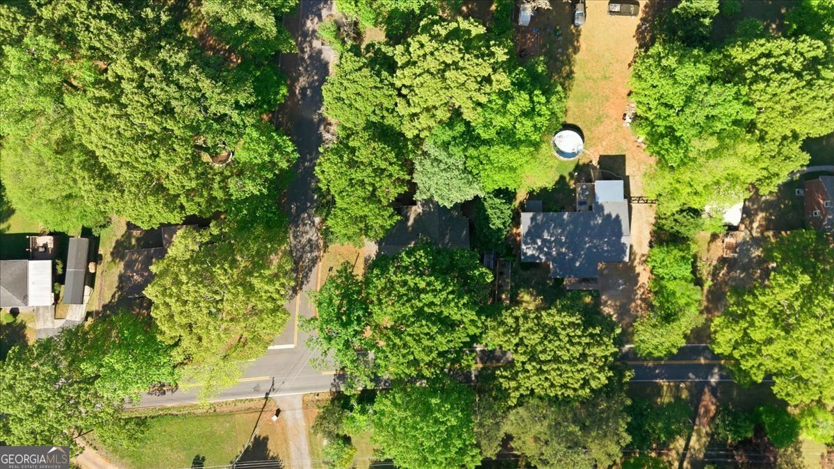 1440 Cochran Ridge Road Hiram - Photo 51