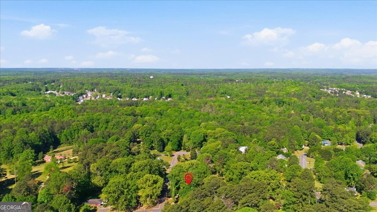 1440 Cochran Ridge Road Hiram - Photo 53