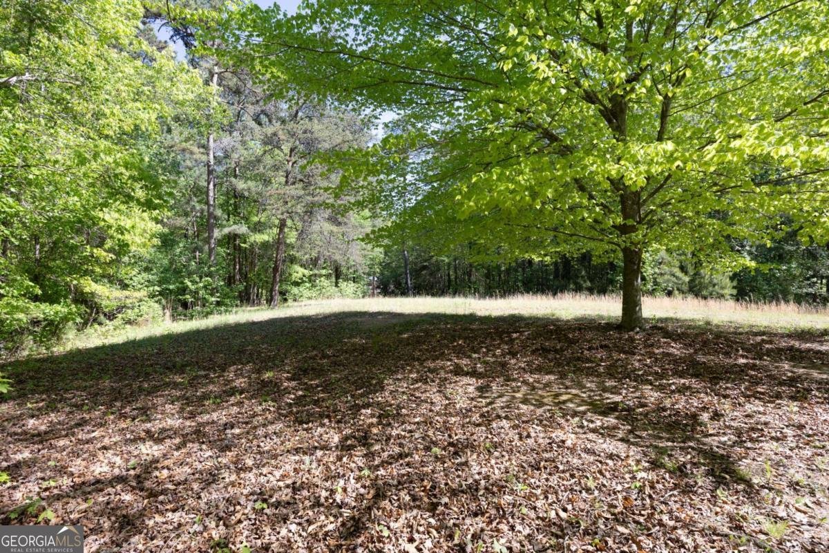 8277 Buchanan Highway Dallas - Photo 32