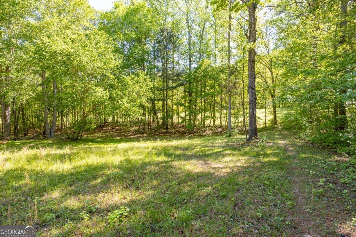 8277 Buchanan Highway Dallas - Photo 33