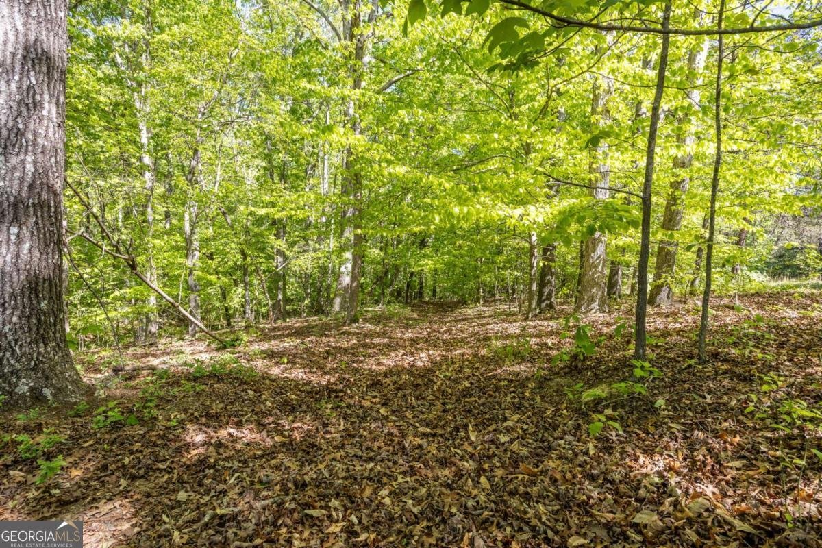 8277 Buchanan Highway Dallas - Photo 34