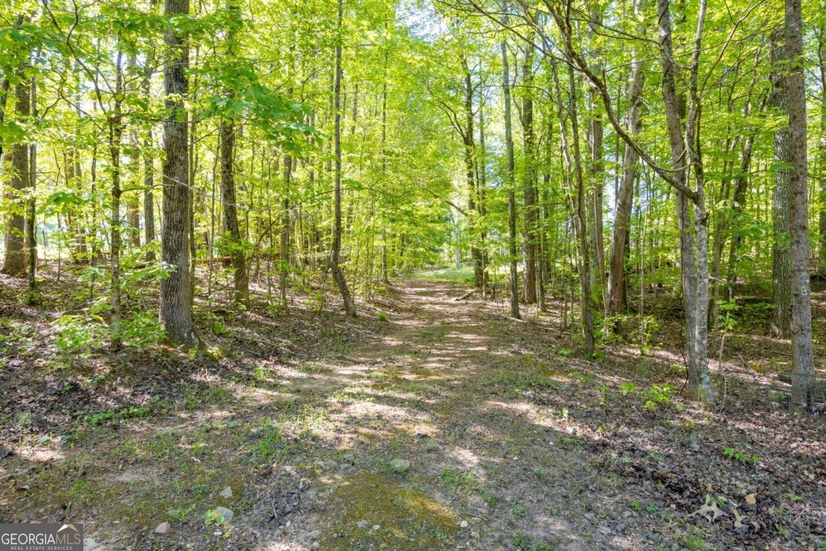 8277 Buchanan Highway Dallas - Photo 57