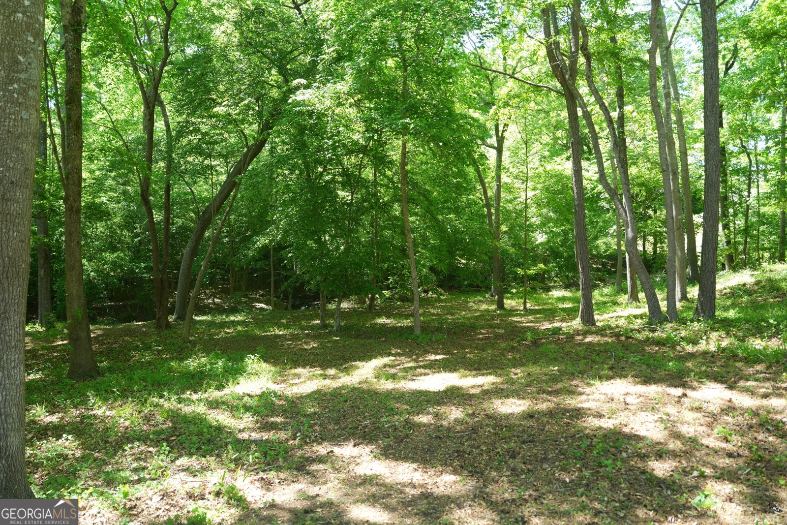 3413 Talking Creek Court Conyers - Photo 82