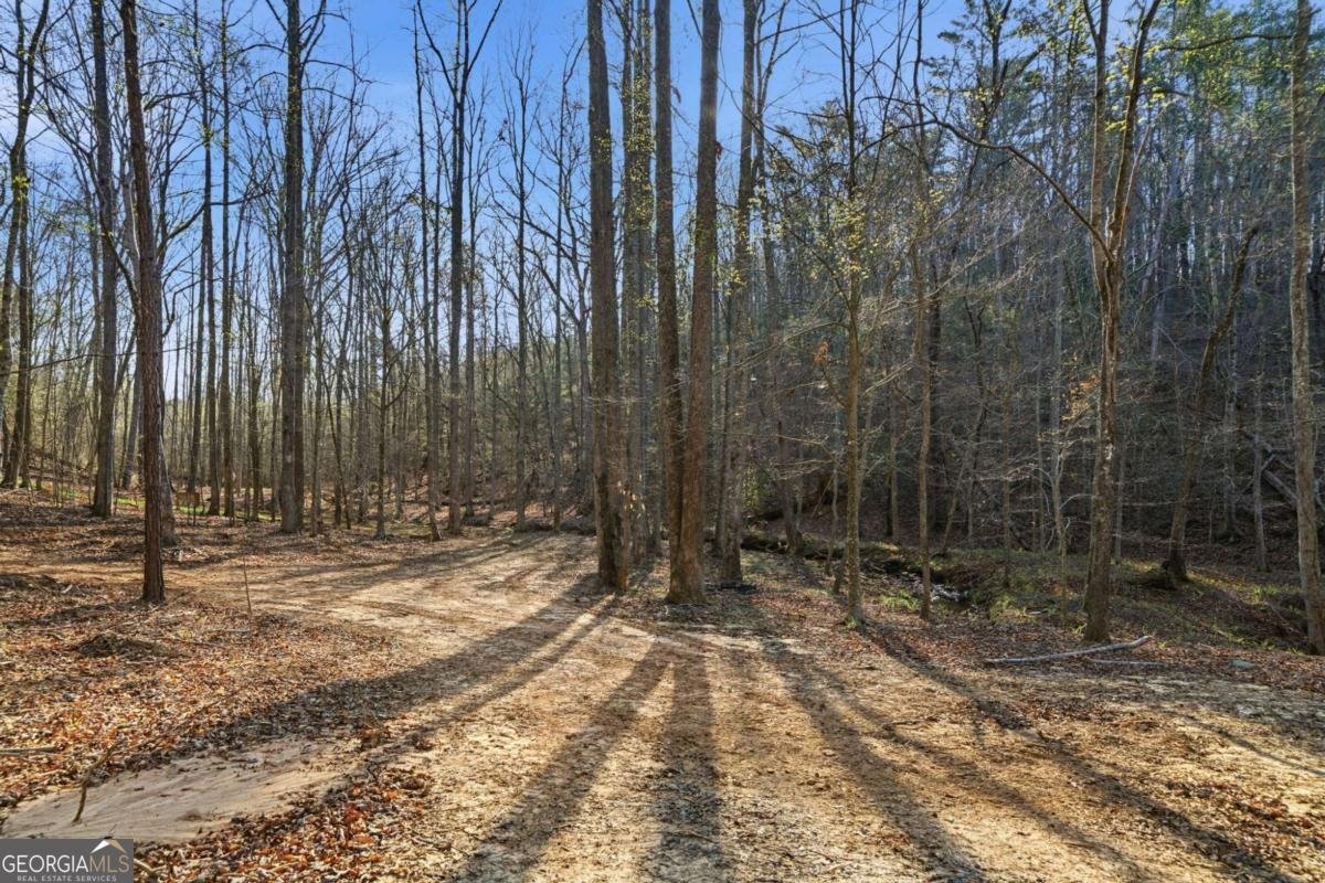 1927 Leeches Road Ellijay - Photo 10