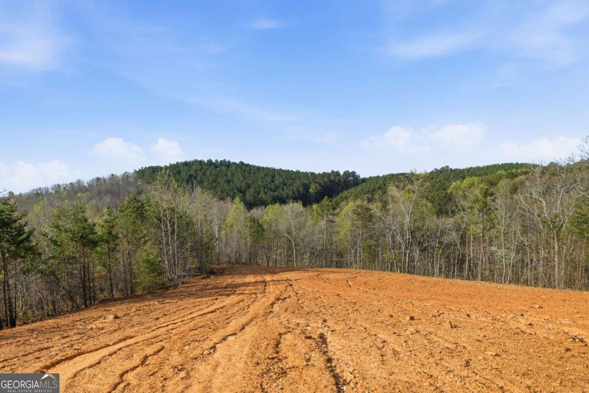 1927 Leeches Road Ellijay - Photo 11