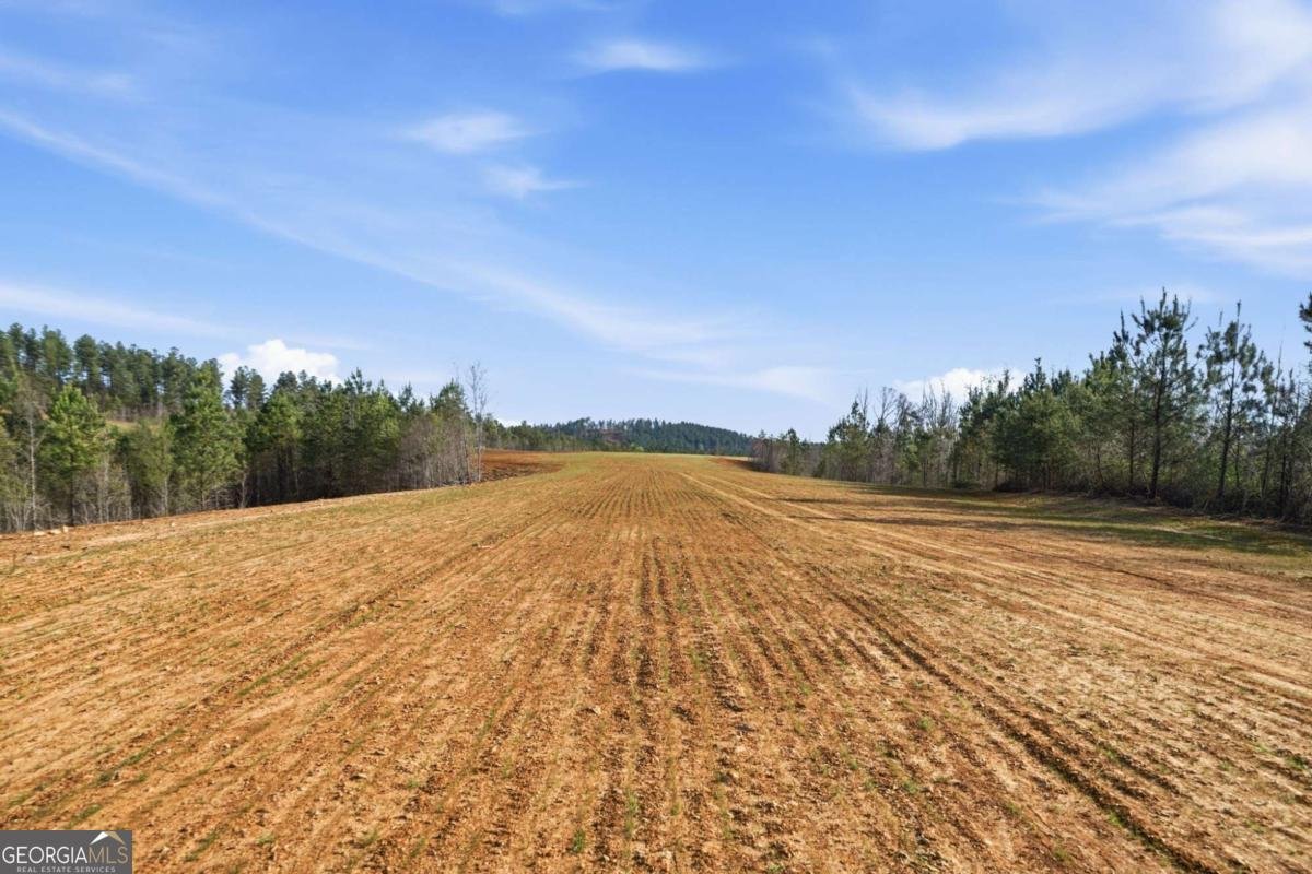 1927 Leeches Road Ellijay - Photo 12