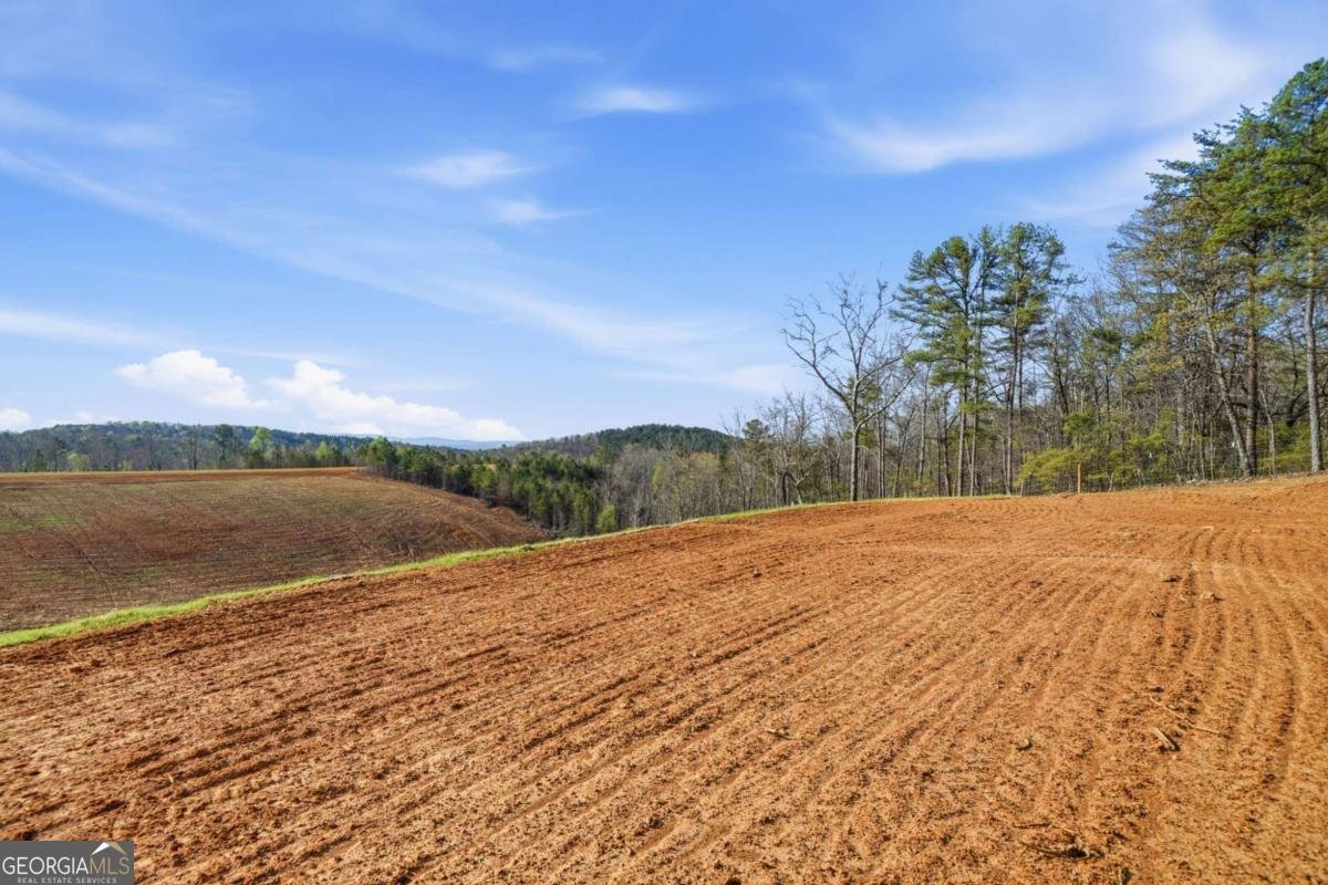 1927 Leeches Road Ellijay - Photo 14