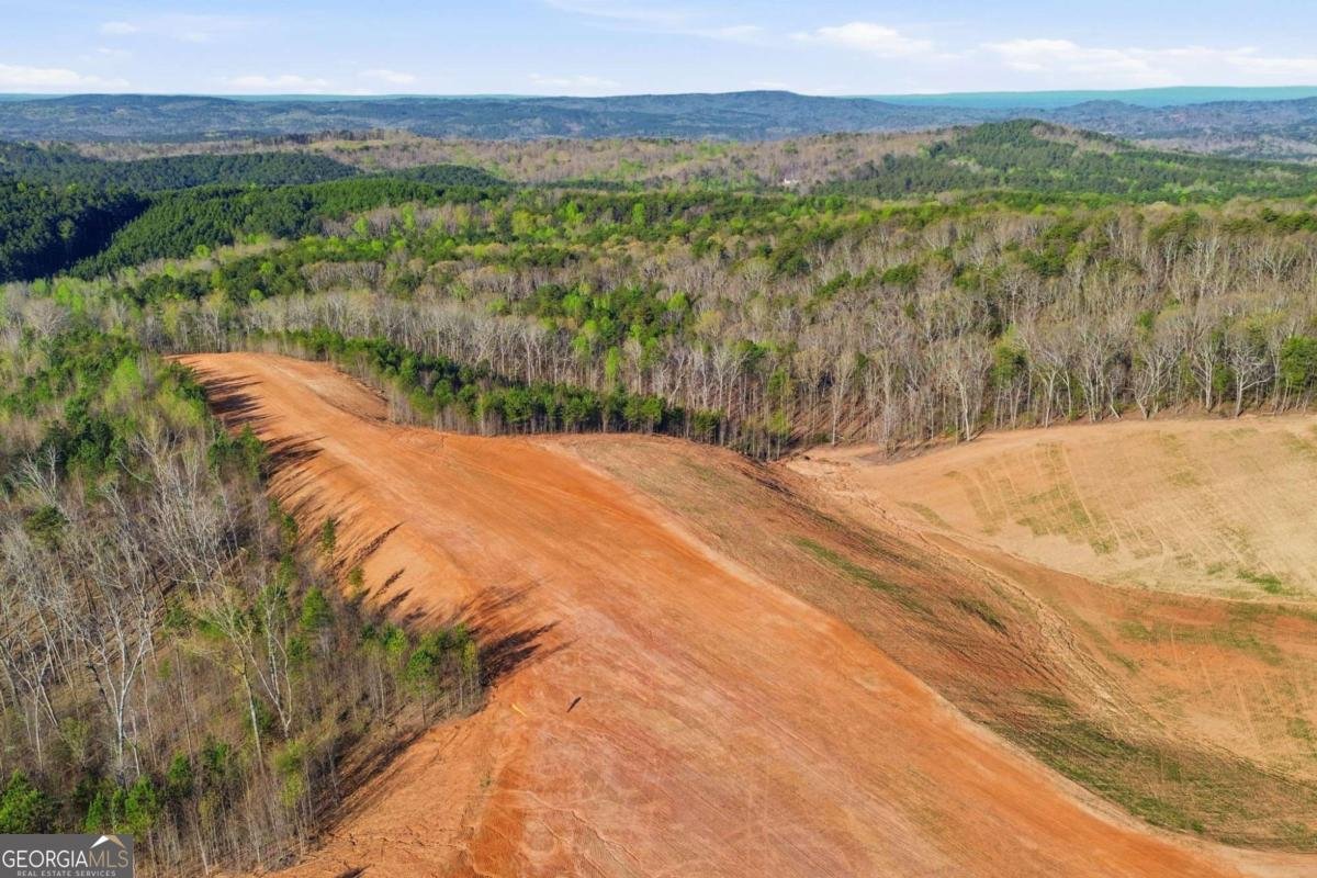 1927 Leeches Road Ellijay - Photo 17