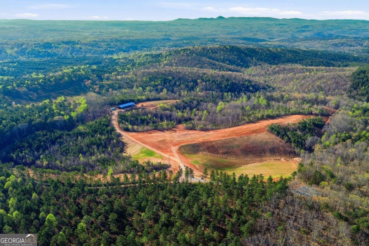 1927 Leeches Road Ellijay - Photo 18