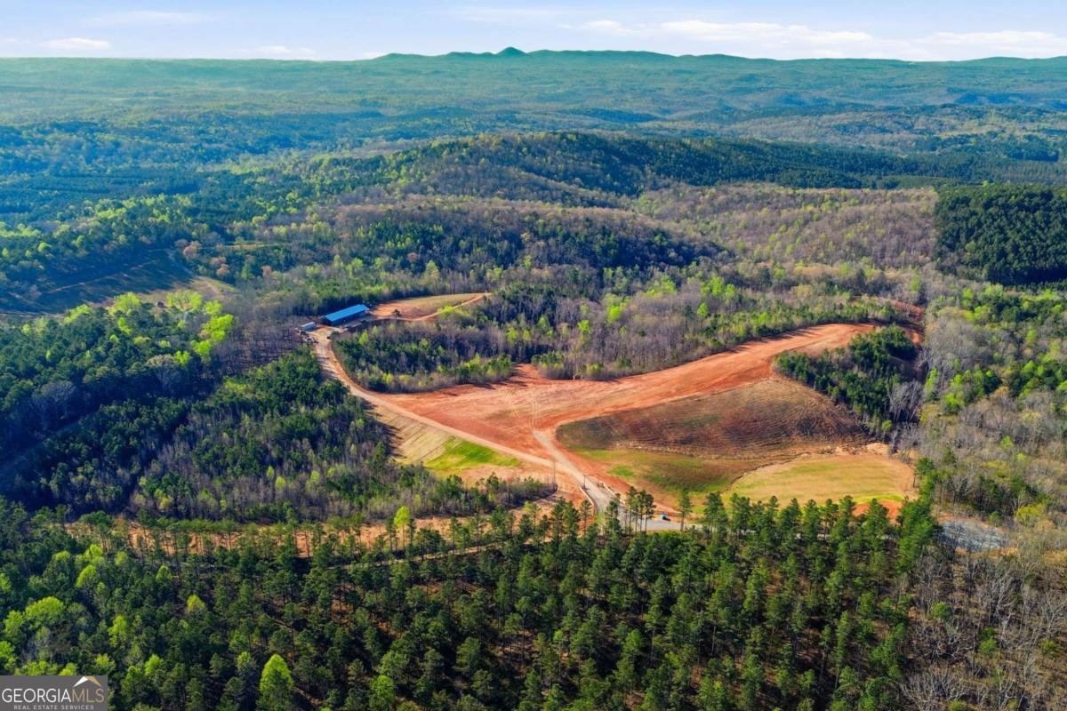 1927 Leeches Road Ellijay - Photo 19