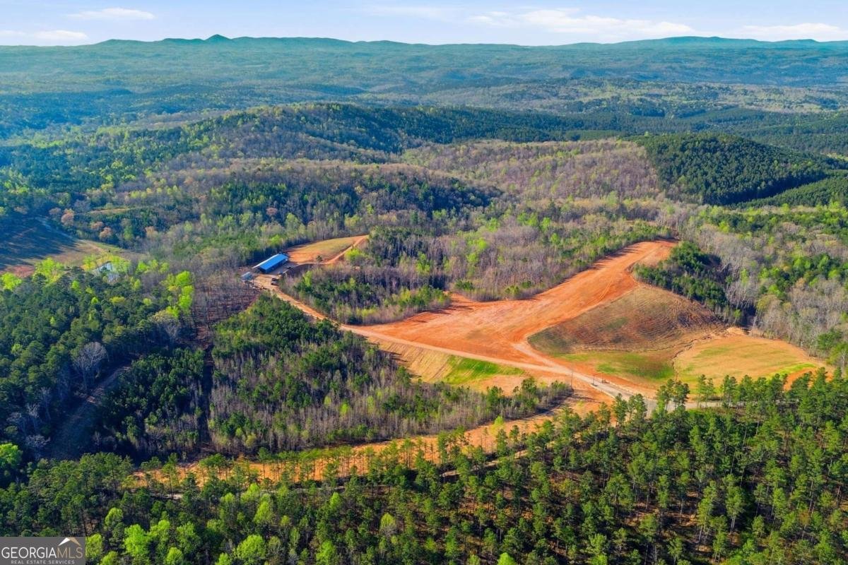 1927 Leeches Road Ellijay - Photo 20