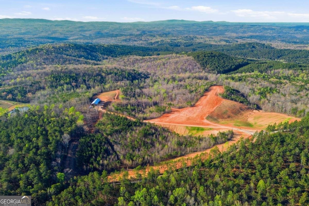 1927 Leeches Road Ellijay - Photo 21