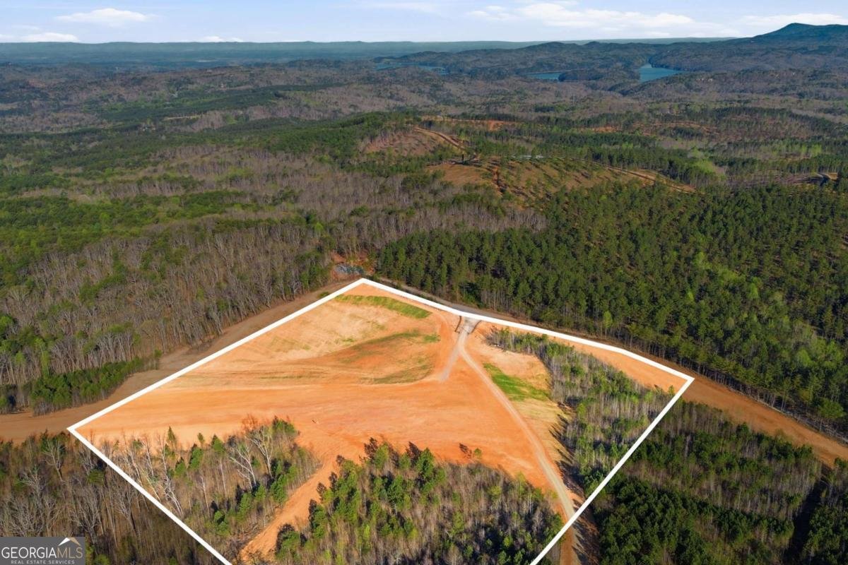 1927 Leeches Road Ellijay - Photo 23