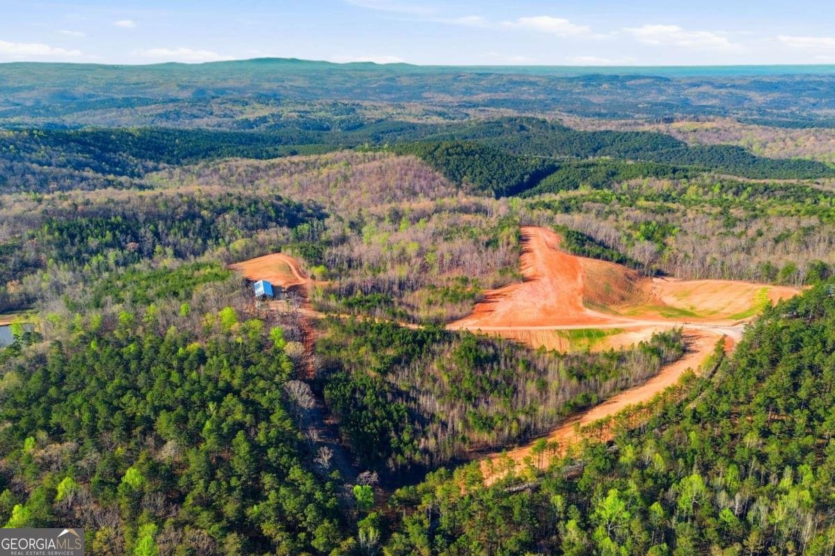 1927 Leeches Road Ellijay - Photo 29