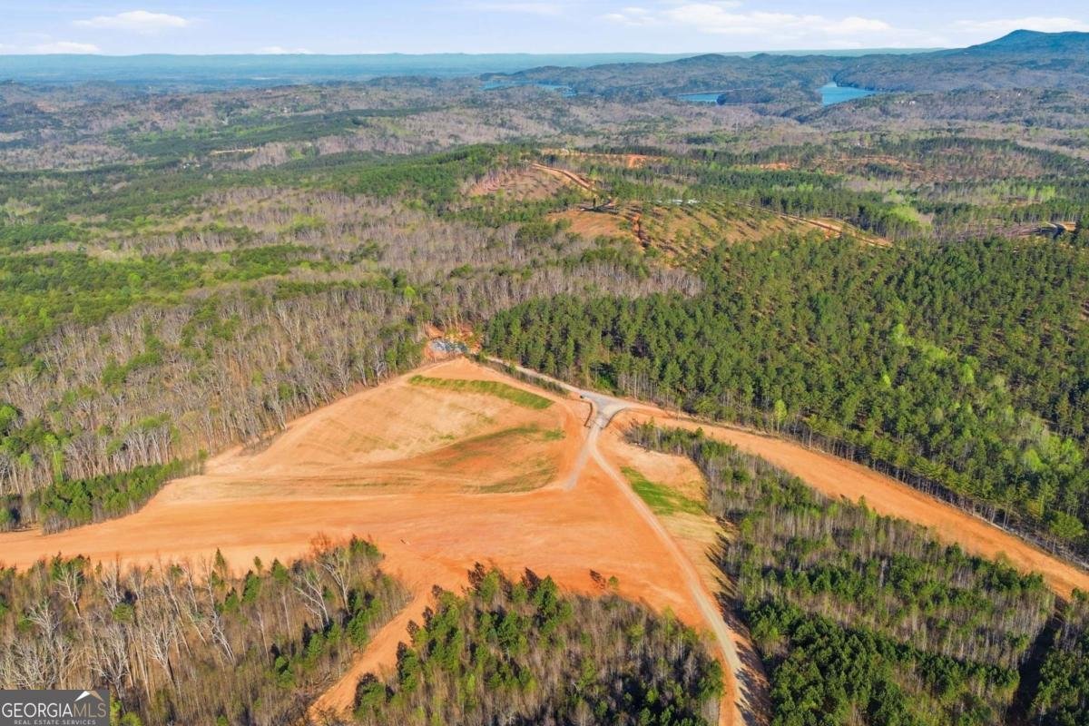 1927 Leeches Road Ellijay - Photo 31