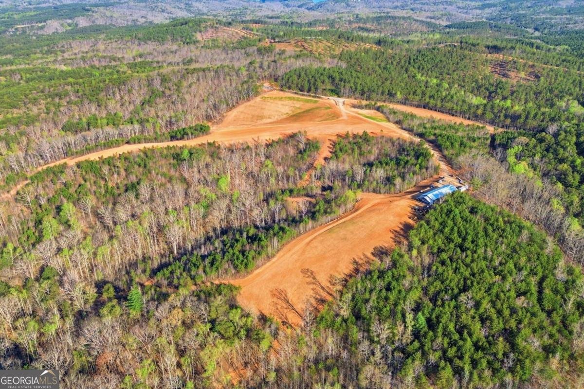1927 Leeches Road Ellijay - Photo 33
