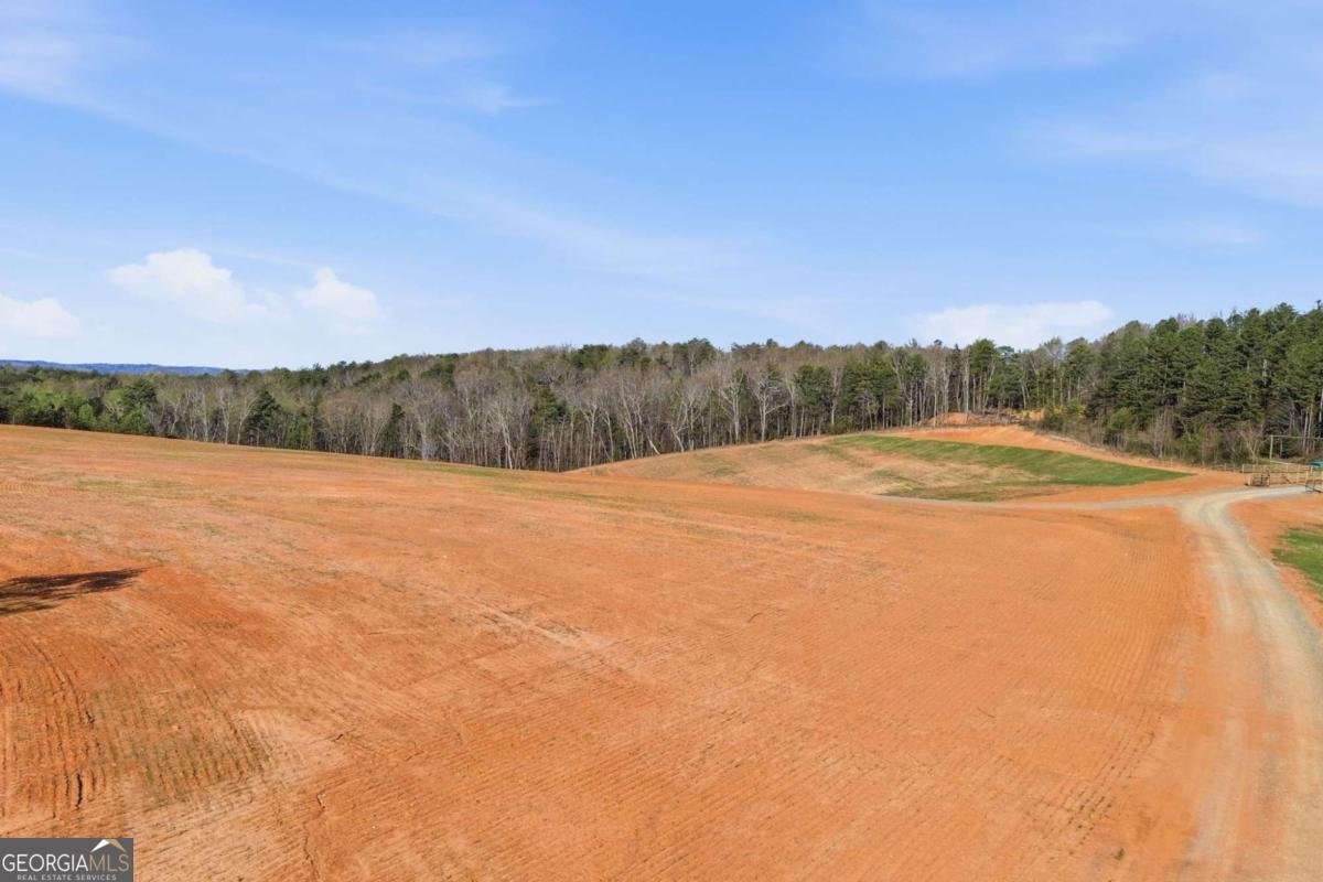 1927 Leeches Road Ellijay - Photo 6