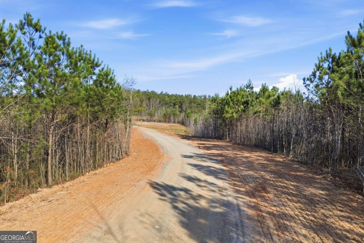 1927 Leeches Road Ellijay - Photo 7