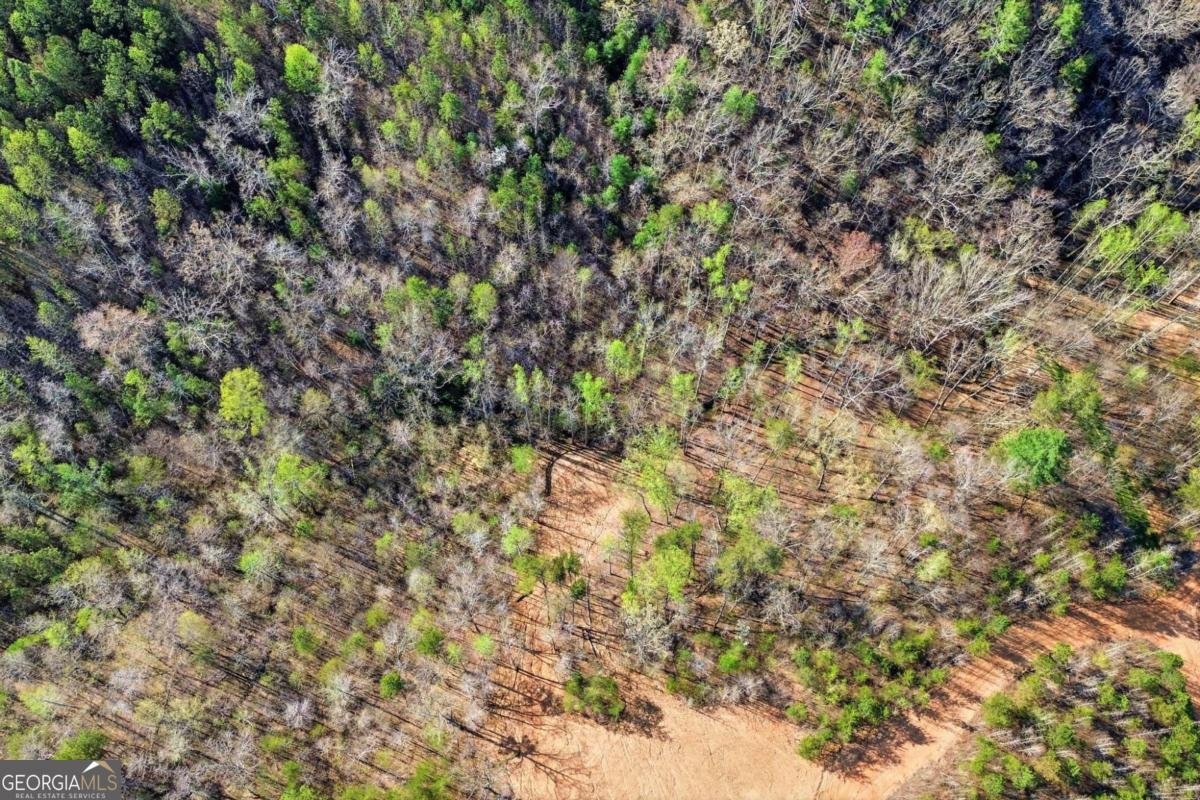 1927 Leeches Road Ellijay - Photo 8