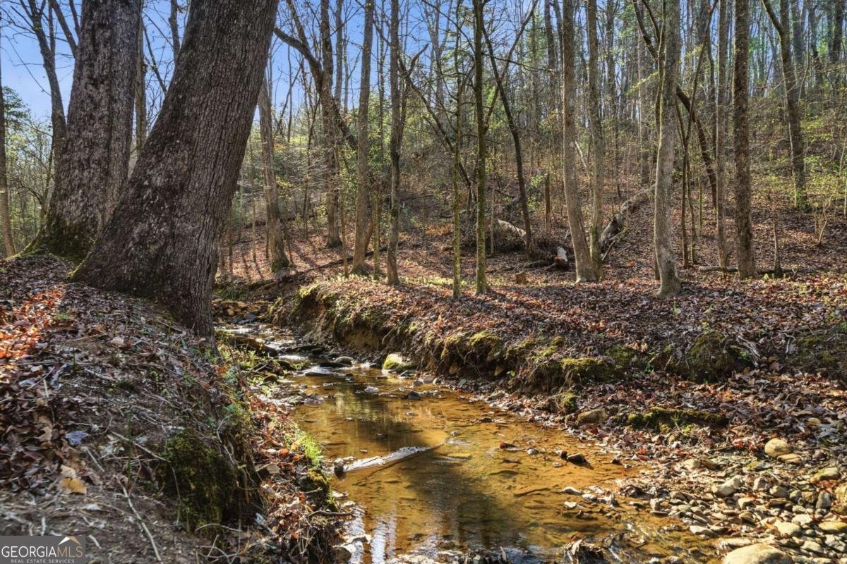 1927 Leeches Road Ellijay - Photo 9