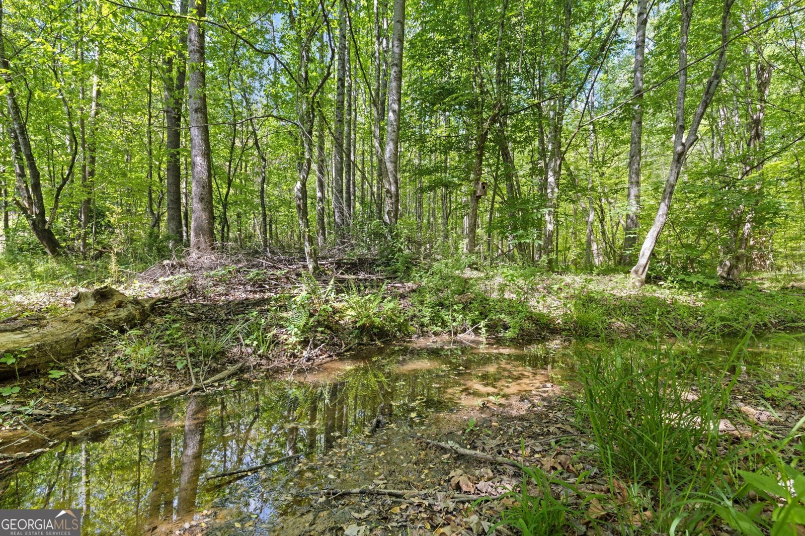 5040 Bird Road Gainesville - Photo 44