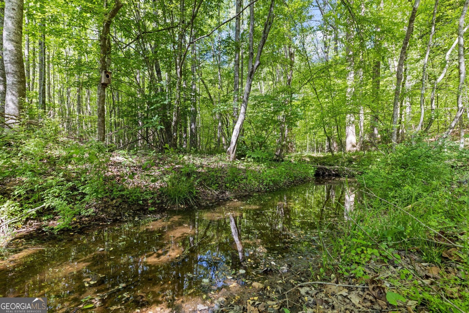 5040 Bird Road Gainesville - Photo 45