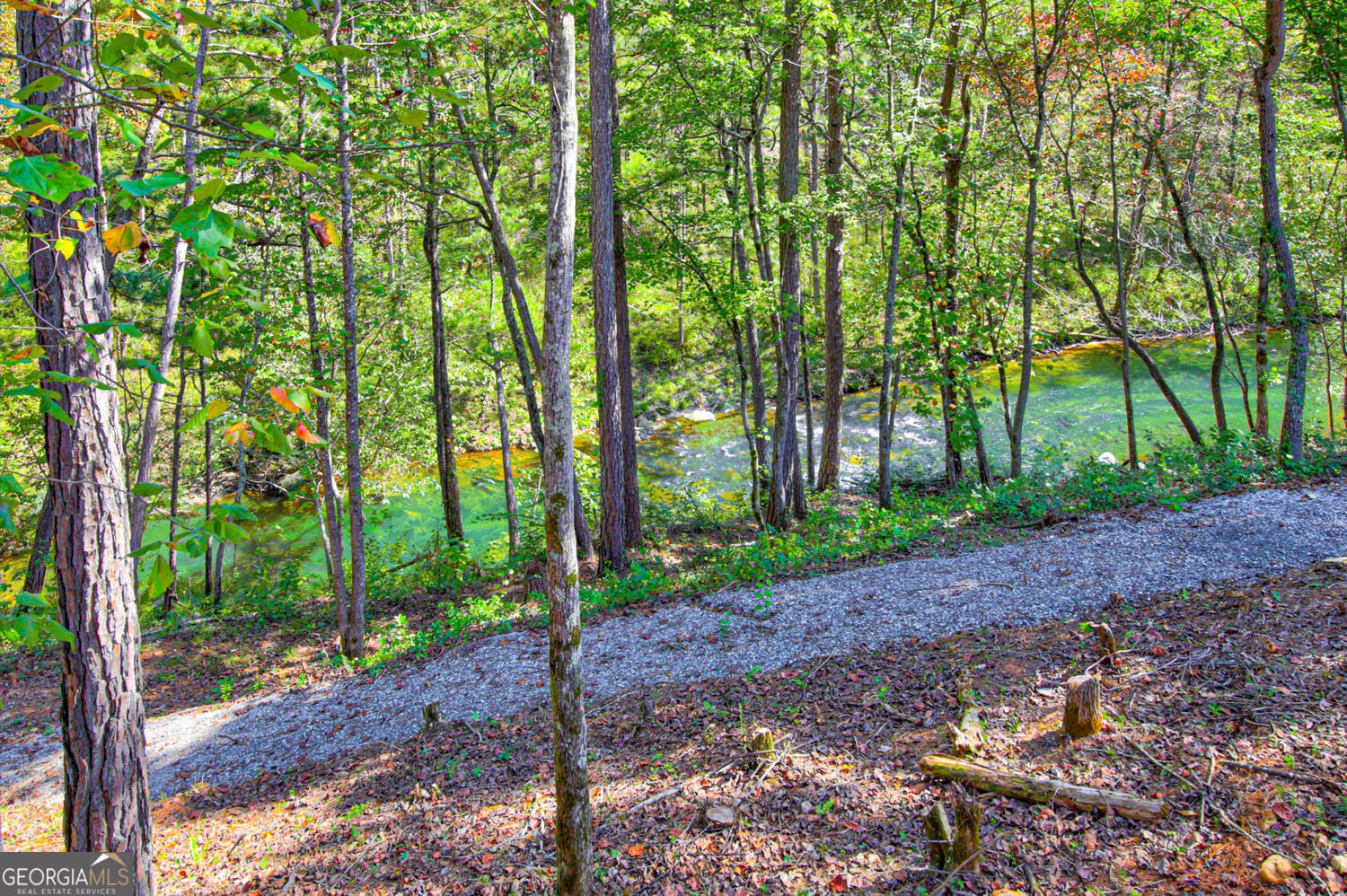 380 Biguns Boulevard Talking Rock - Photo 56