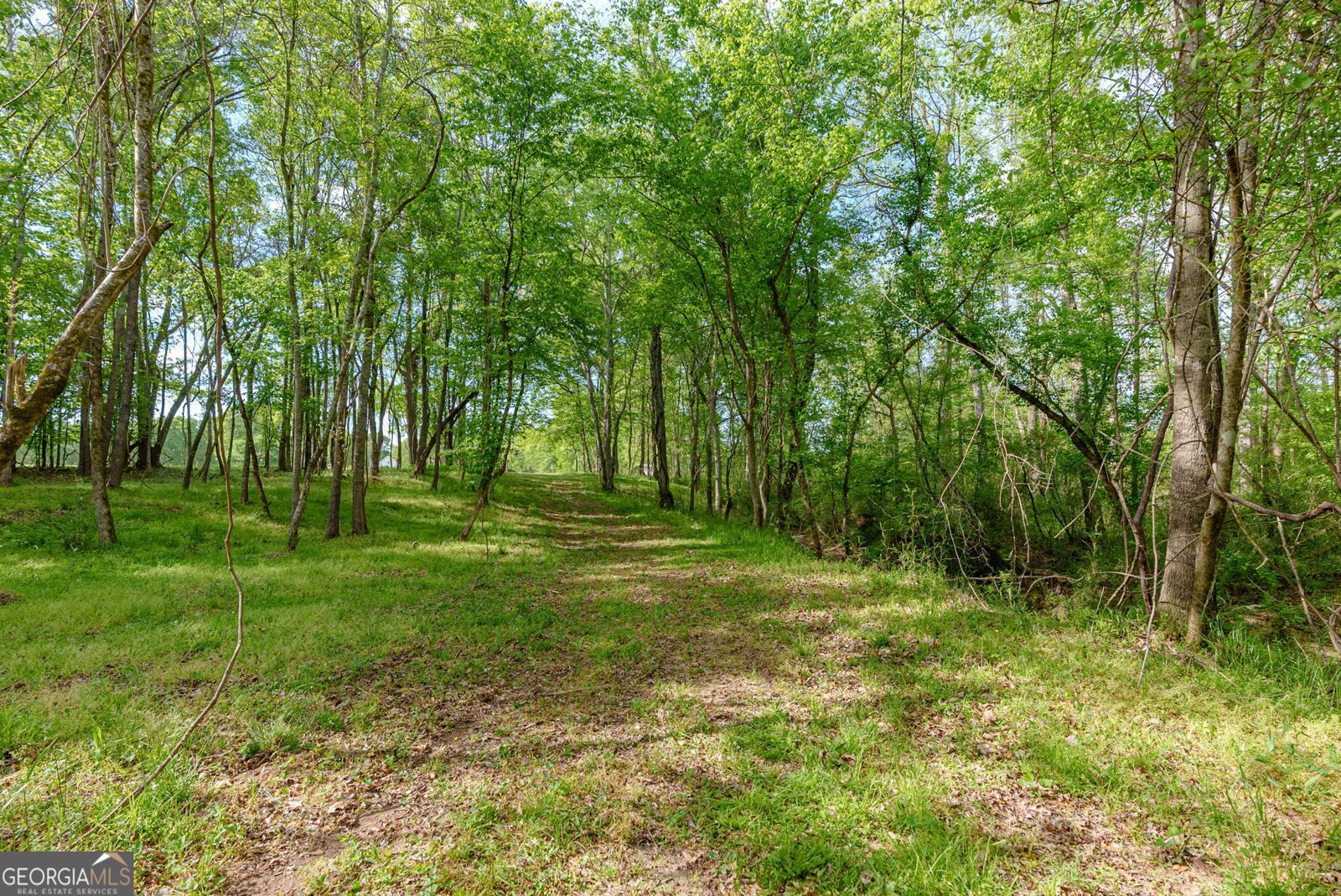 235 Glades Road Eatonton - Photo 9