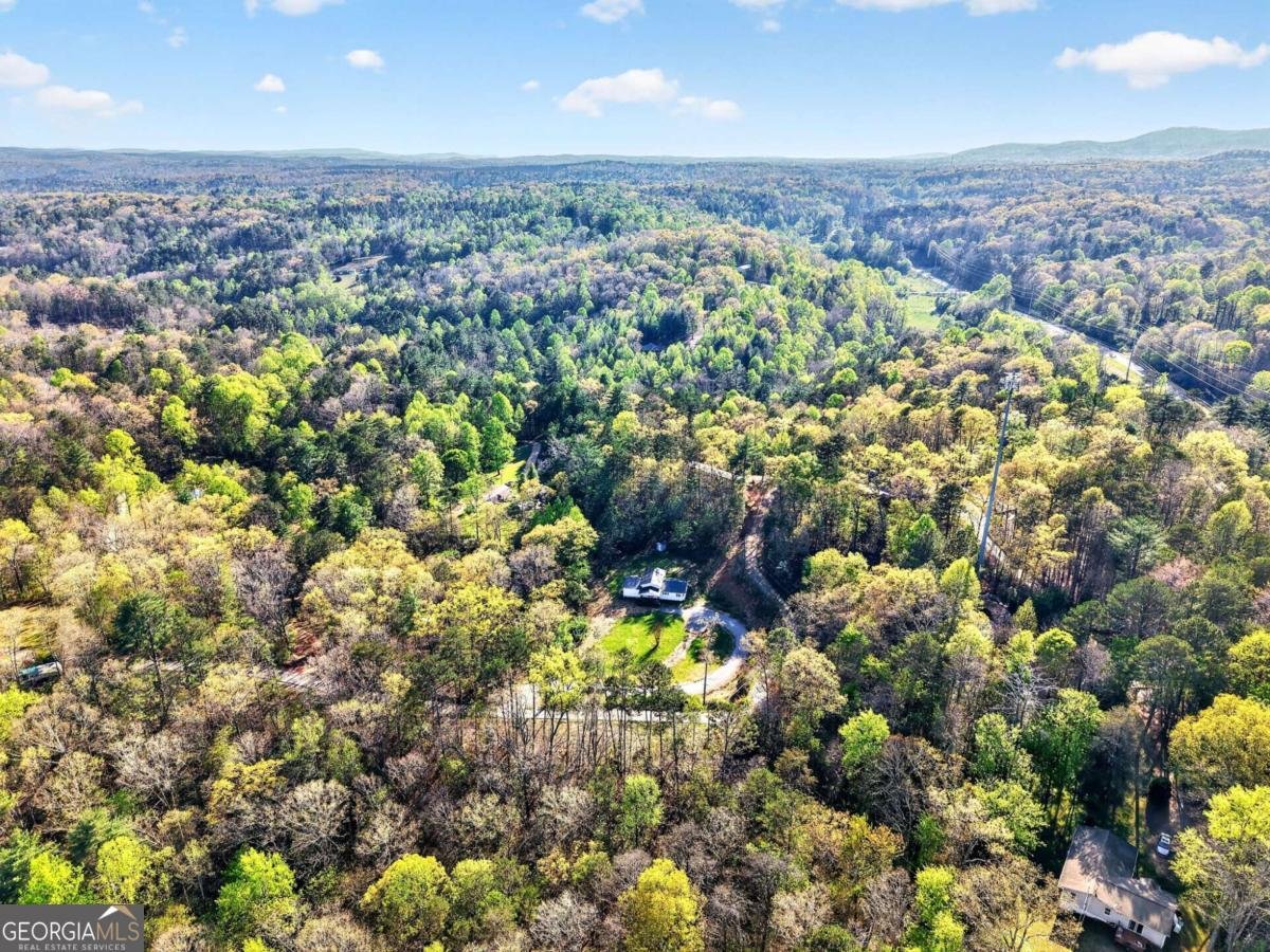 156 Dover Chapel Road Ellijay - Photo 17