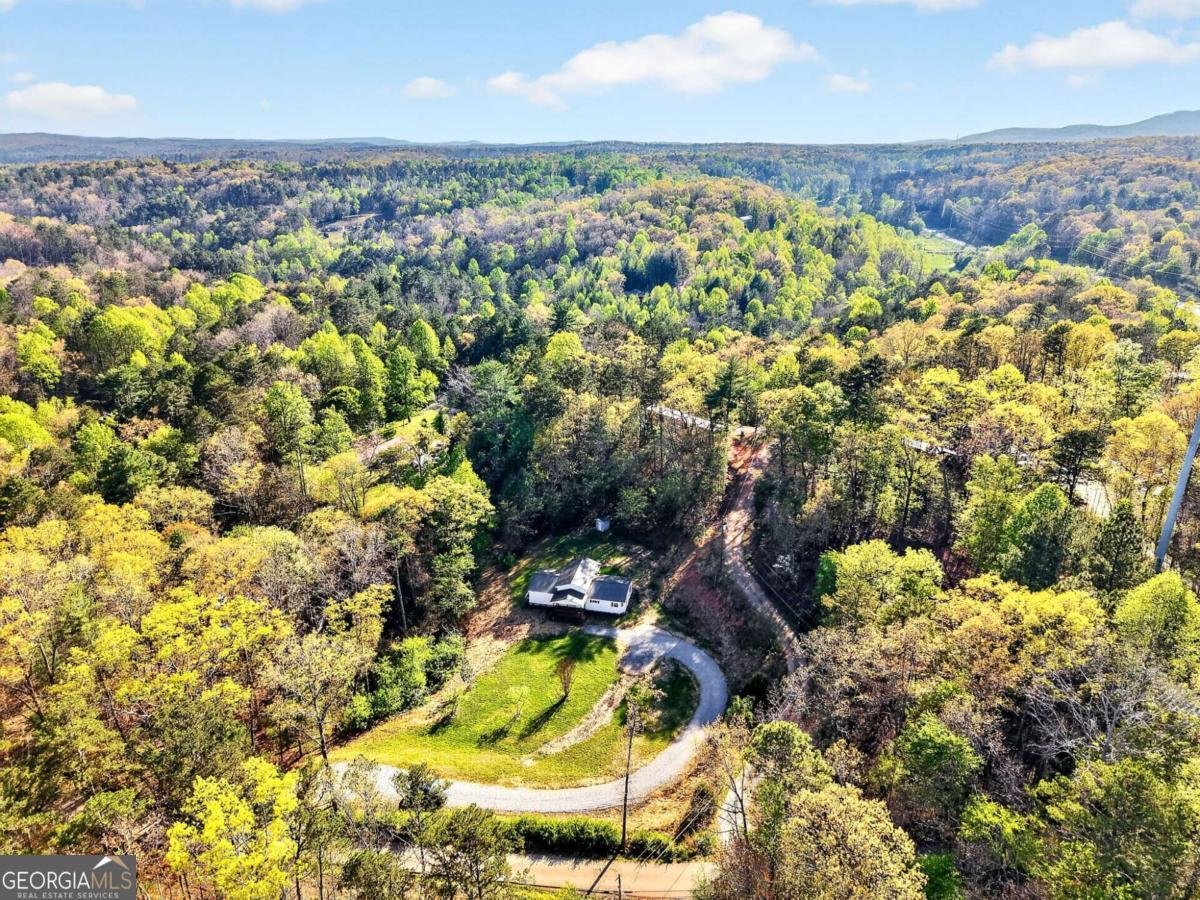 156 Dover Chapel Road Ellijay - Photo 18