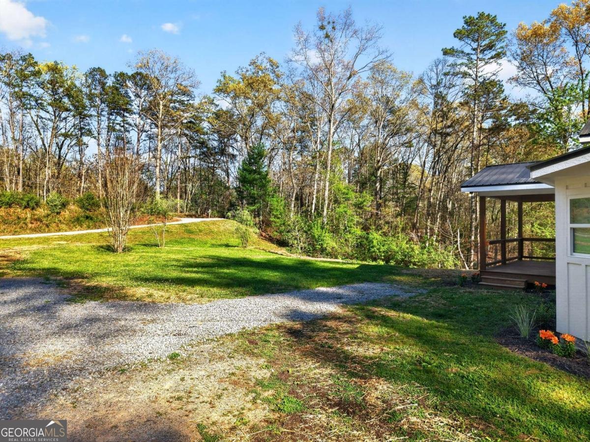 156 Dover Chapel Road Ellijay - Photo 19