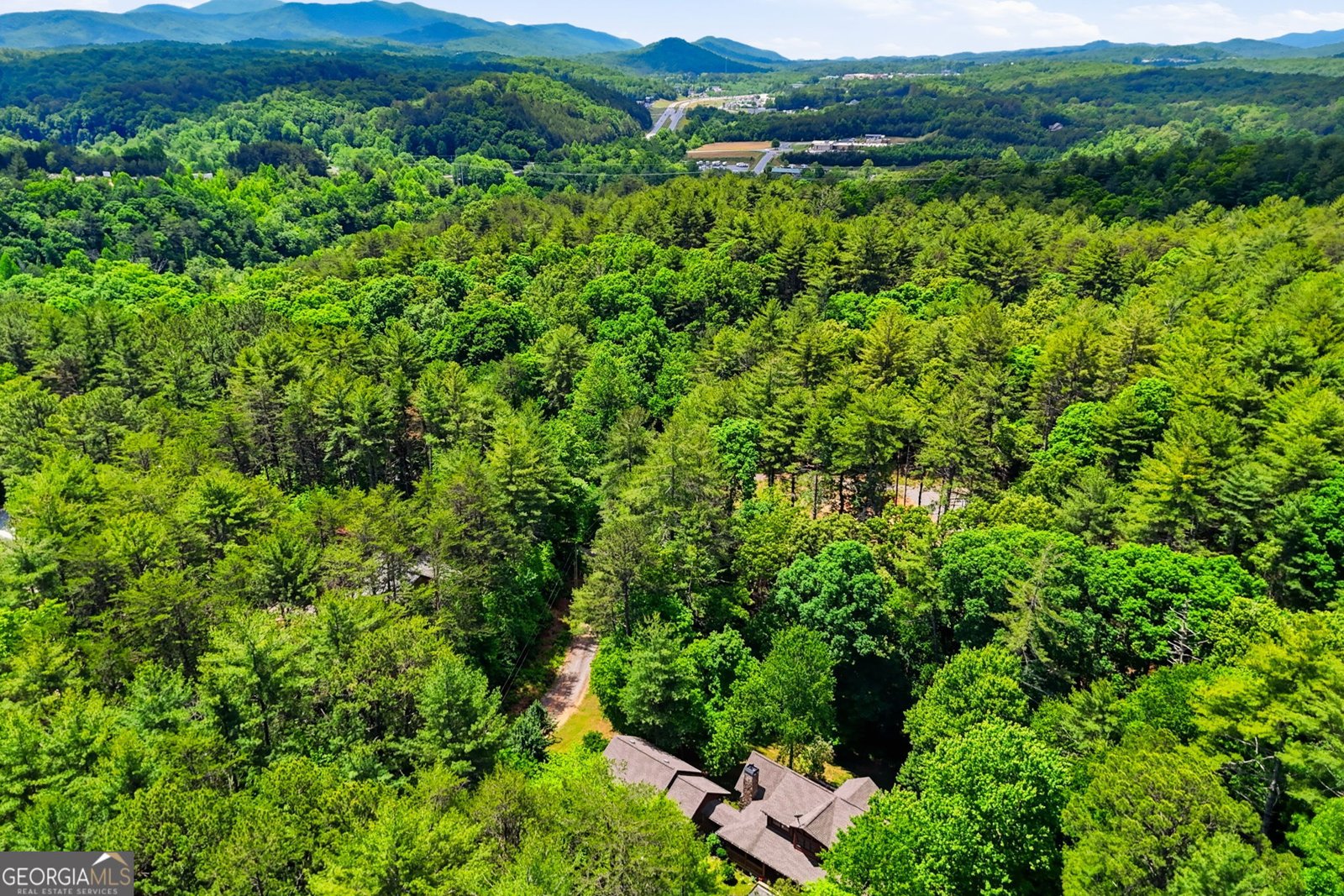 139 Deer Trail Mineral Bluff - Photo 54