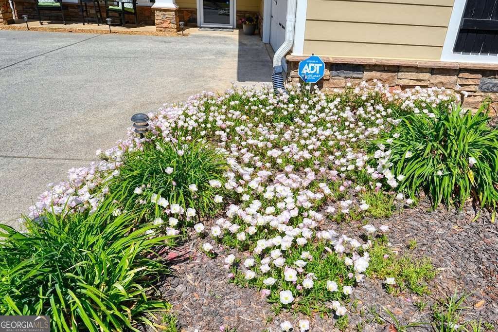 216 Patti Place Canton - Photo 50