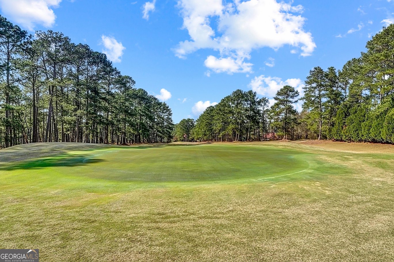 118 Meadowlark Drive Monticello - Photo 43