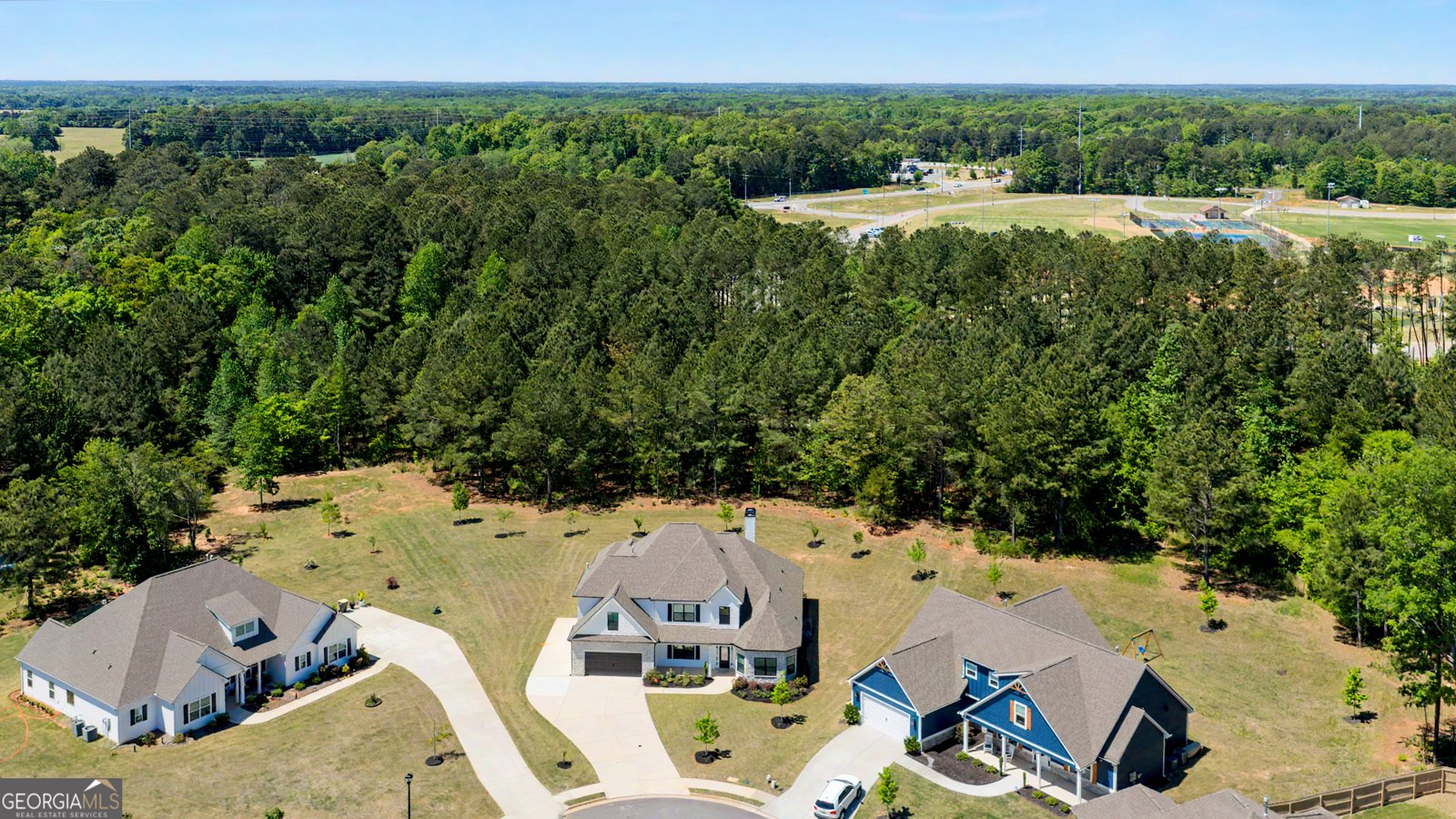 142 Nelms Street Senoia - Photo 40