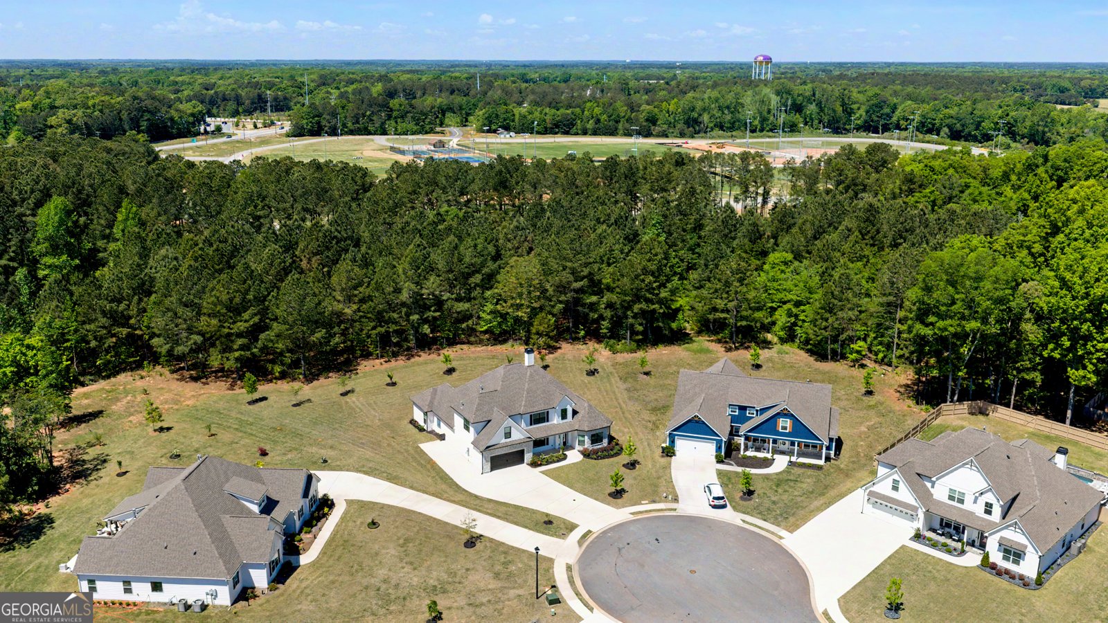 142 Nelms Street Senoia - Photo 41