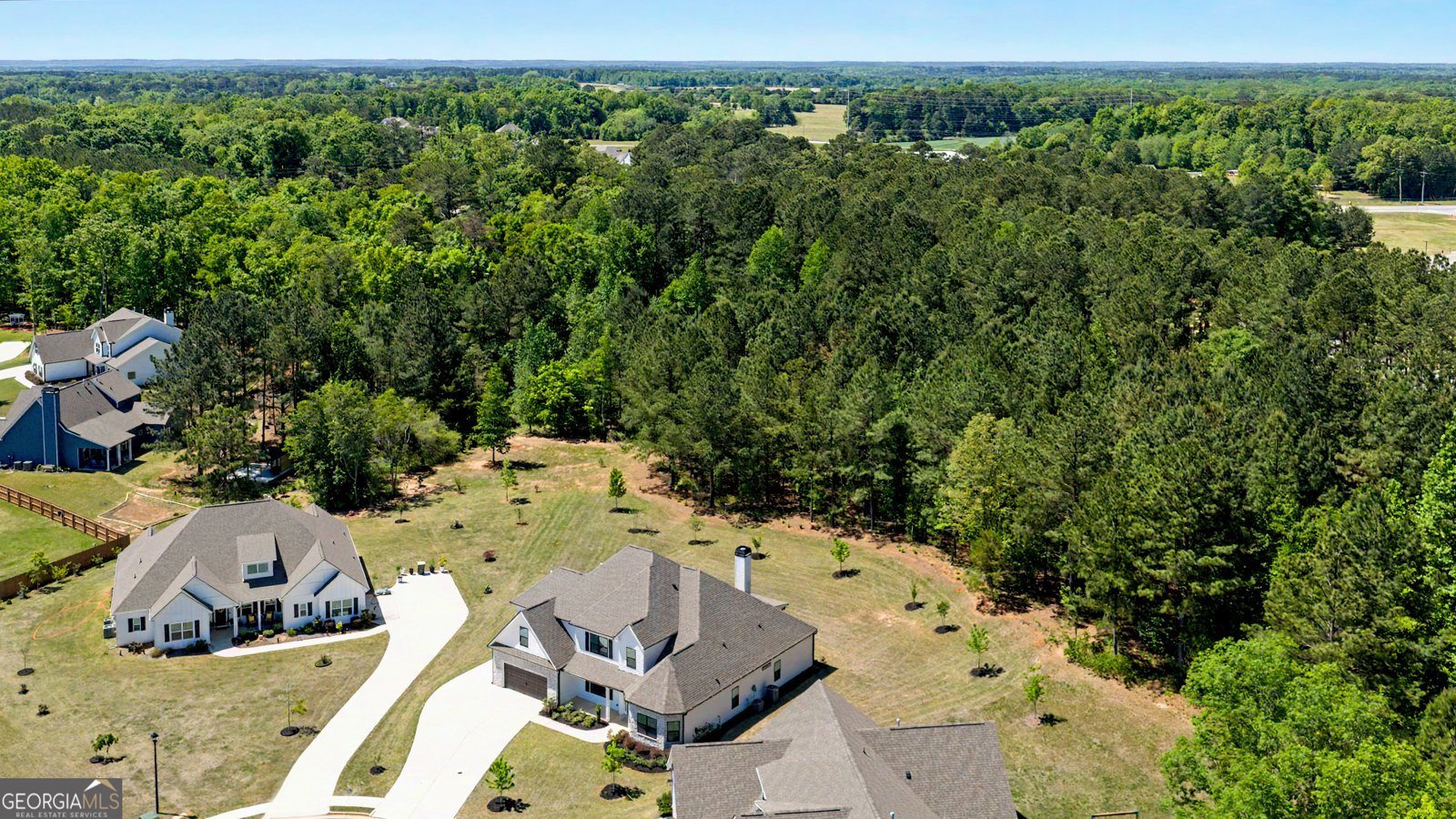 142 Nelms Street Senoia - Photo 42