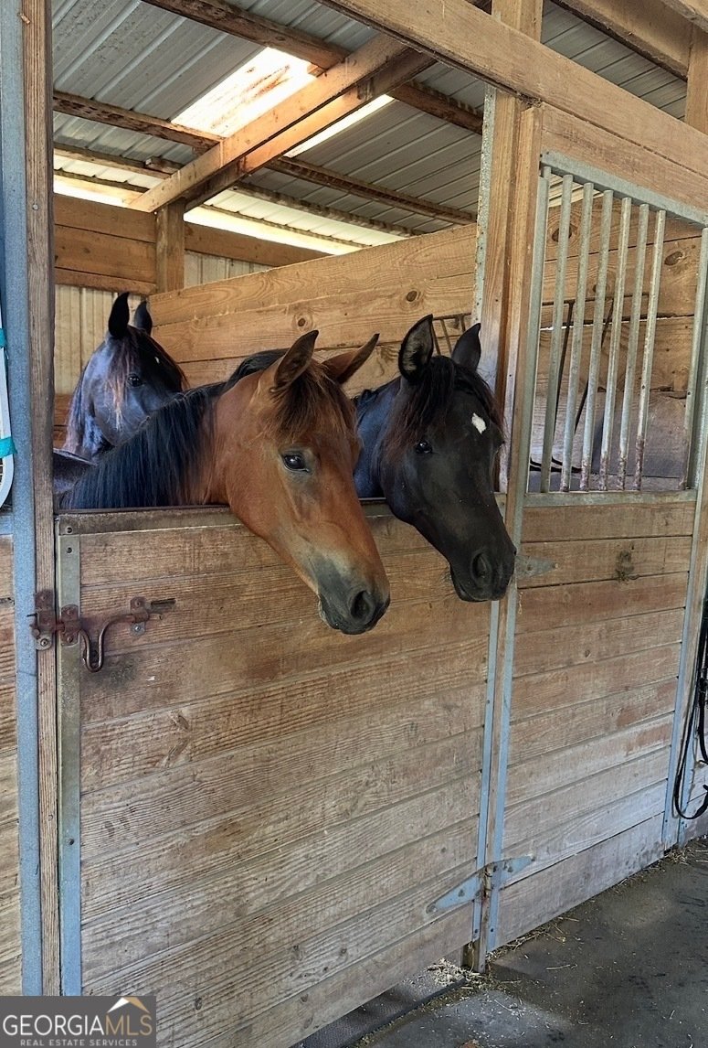 511 W Mcintosh Road Brooks - Photo 50