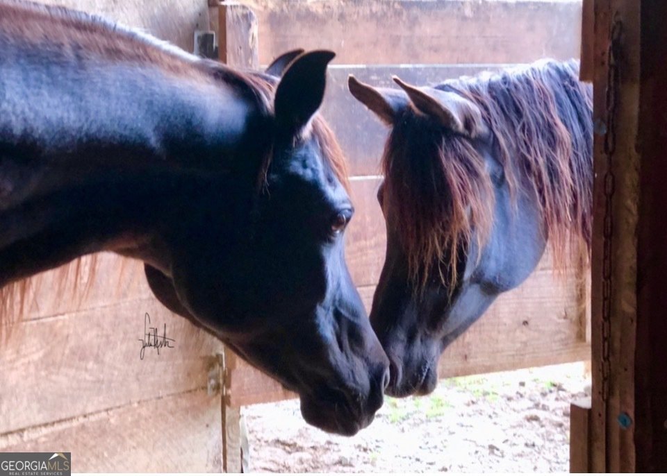 511 W Mcintosh Road Brooks - Photo 6