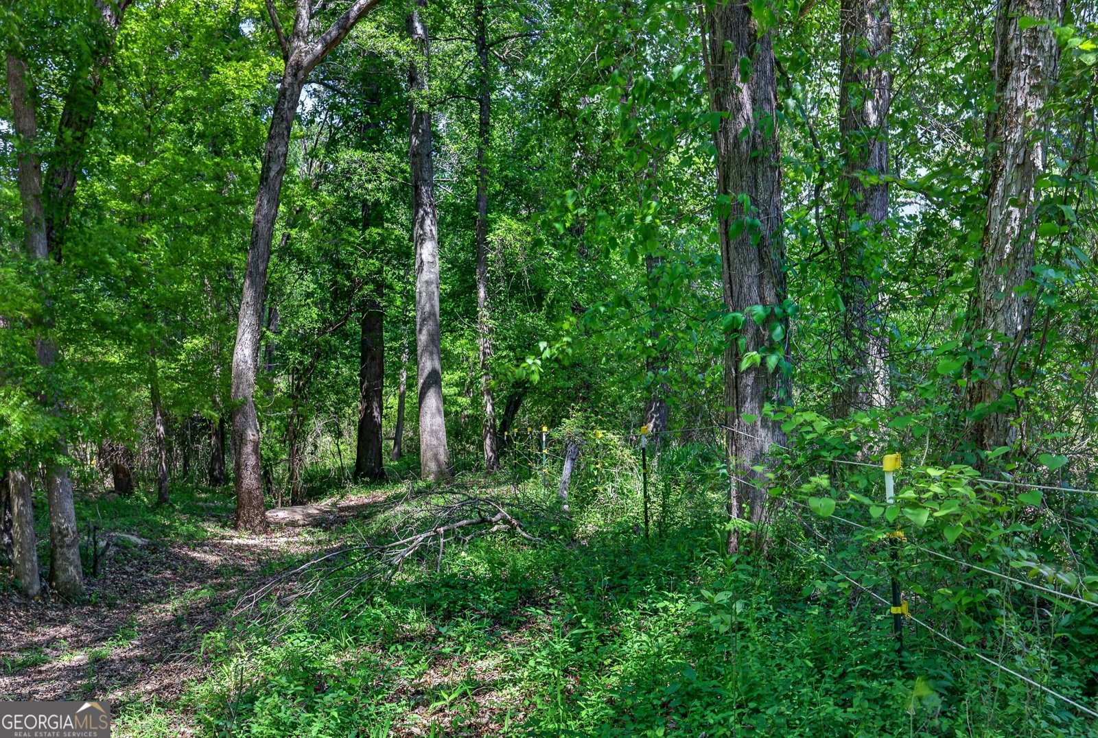 511 W Mcintosh Road Brooks - Photo 64