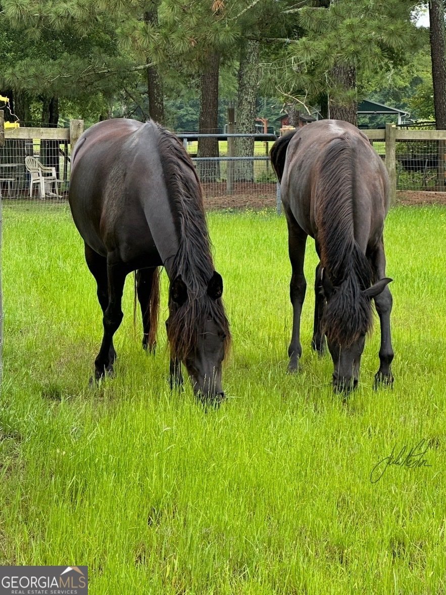 511 W Mcintosh Road Brooks - Photo 77